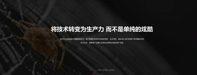 泰顺网页设计公司网站哪家强？